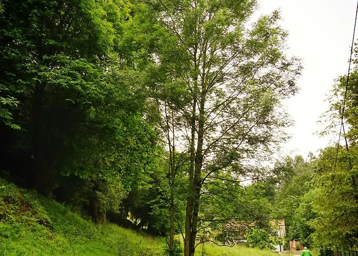 Apartment El Tujo Obregon