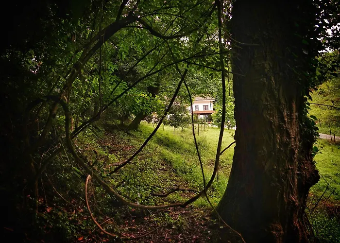 Apartmán El Tujo Obregón